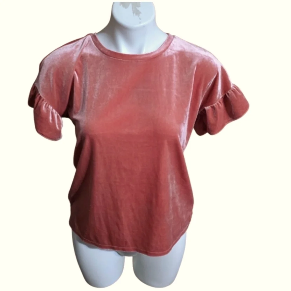 Old Navy Ruffle Velvet Sleeve Top Tyrell Rose Size XL (14)